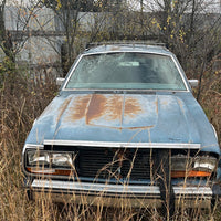 1985 American Motors Eagle
